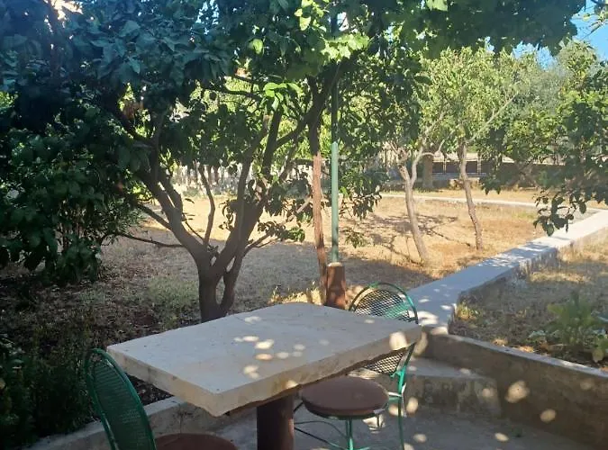 Buena Vida זאדאר