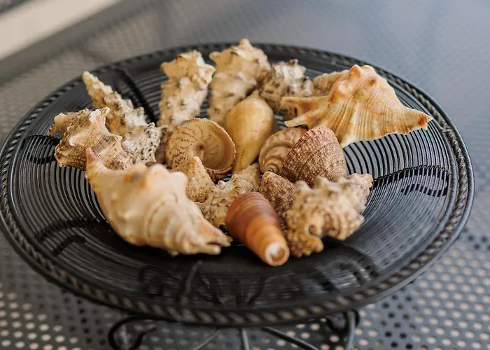 Buena Vida זאדאר